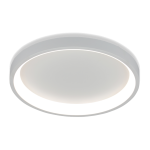 CEILING LIGHT MODEL 2532/400 (White) 21W