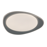CEILING LIGHT MODEL 3512/48W (Gray)