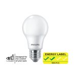 Philips High Lumen LED Bulb E27 A65 / A80 (13W / 19W)