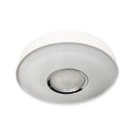 Hans 3086M Ceiling Light 24W