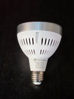 Forest Lighting LED PAR30  – 35W - Image 2