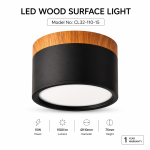 Surface Mounted Ceiling Light Series 32  Black Frame