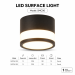 Surface Mounted Ceiling Light Series 06