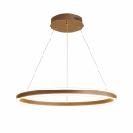 Halo Ring Pendant Light
