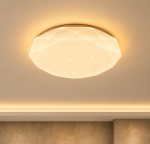 Lighting Hub LED Ceiling Light Series 2581 (Casing Only) - Image 3