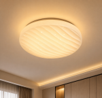 Lighting Hub LED Ceiling Light Series 2002 (Casing Only) - Image 2